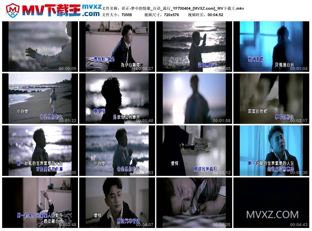 彭正-梦中的情歌_台语_流行_YF700404